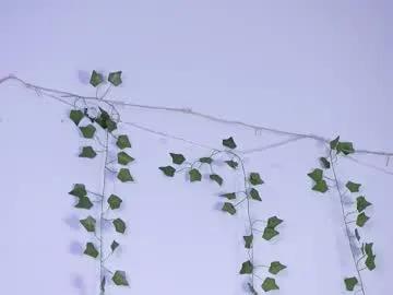 lyly_loveyou — touch my pussy in doggy  I am back!! please help me get 250 thumbs up guys ;)My name is Lyly! #hairy #skinny #teen #smalltits #yoga [123 tokens remaining]