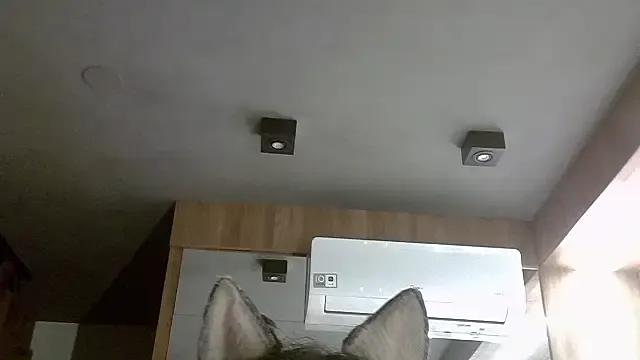 SkinnyKitten — twirlvoltinha