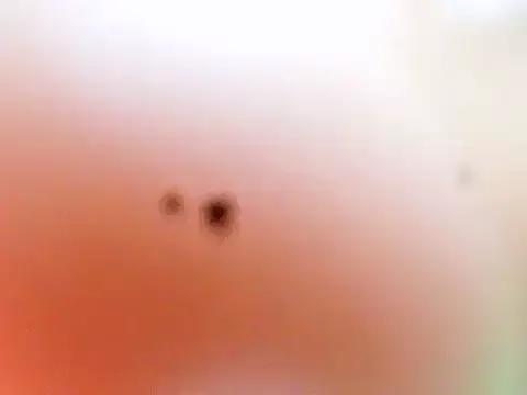 Tallassbabex22 on StripChat 